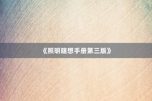 《照明瞎想手册第三版》
